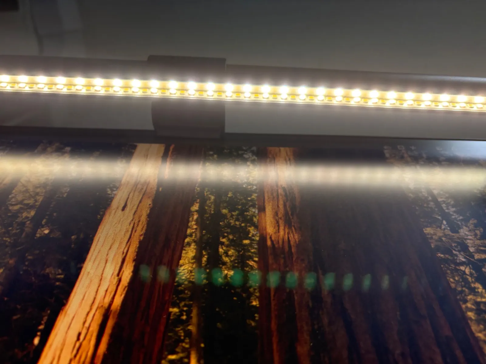 ライトを下から撮ってみた